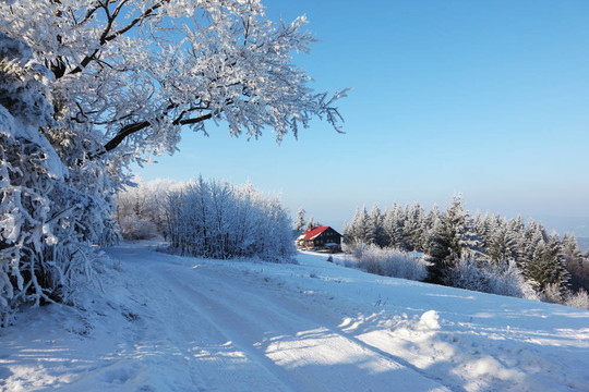 白雪覆盖的道路