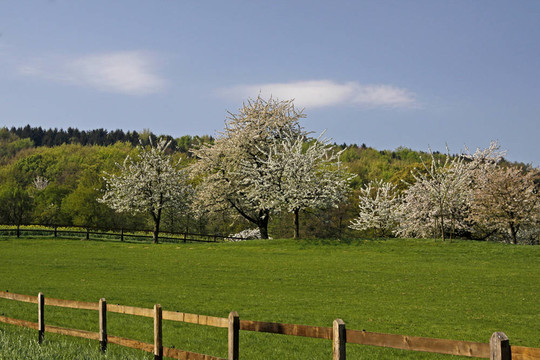 Hagen春季景观；德国