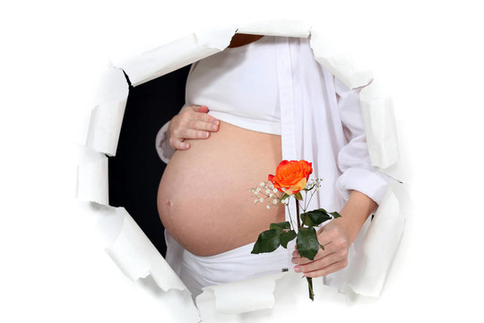 怀孕的女人拿着一朵玫瑰