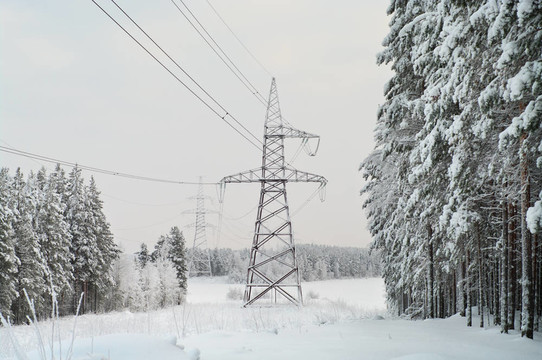 俄罗斯北部白雪皑皑的常绿阔叶林上铺设高压电线