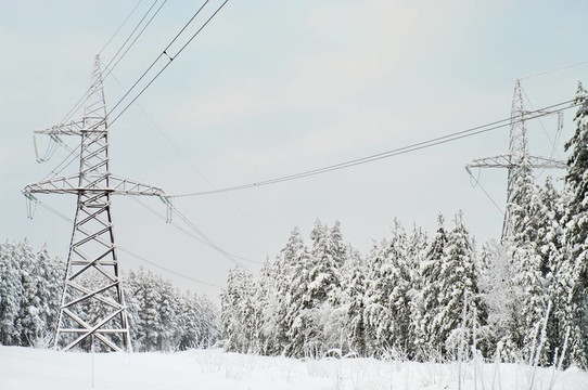 俄罗斯北部白雪皑皑的常绿阔叶林上铺设高压电线