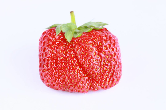 许多鲜红色草莓