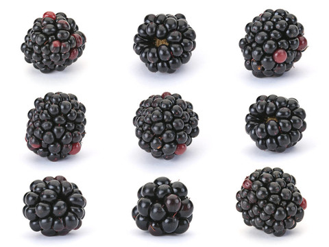 黑莓浆果