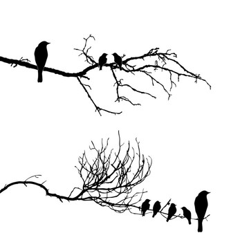 树枝上的鸟类剪影图