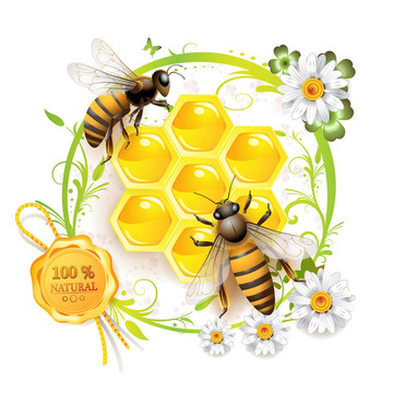 两只蜜蜂和蜂窝