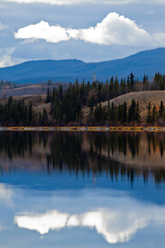 在平静的育空湖在深秋的电力线；加拿大