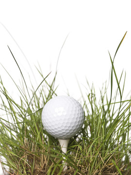 绿色背景上的草坪上的高尔夫球