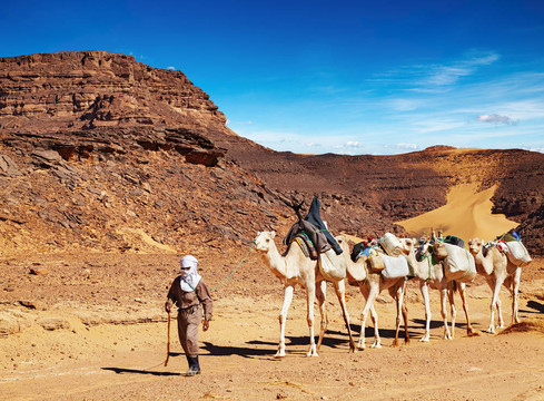撒哈拉沙漠中的骆驼商队；阿尔及利亚