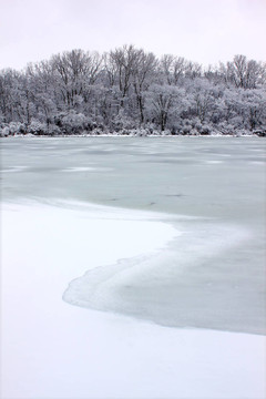 伊利诺斯雪湖降雪