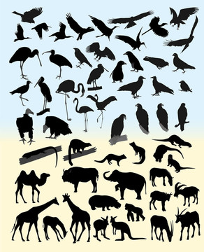 不同的动物和鸟类很多剪影