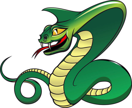 危险的绿色眼镜蛇