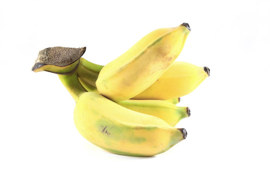 天然种植香蕉面向右