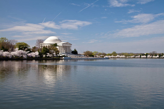 华盛顿杰佛逊纪念堂樱花盛开