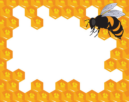 蜜蜂和蜂巢蜂蜜