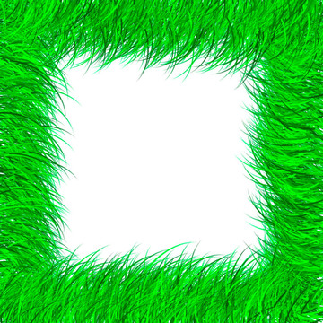 白色背景下的绿草相框