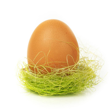 鸡蛋在巢