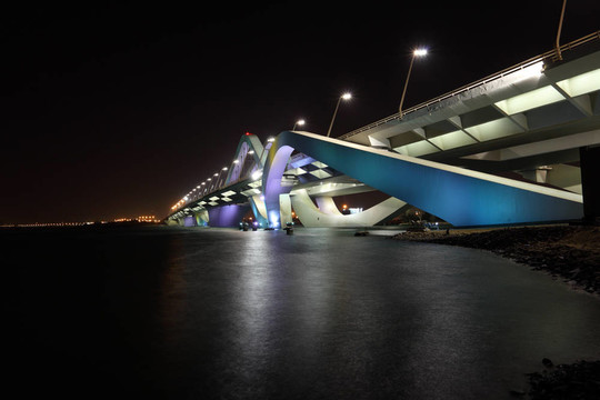 扎耶德桥夜景；阿布扎比；阿拉伯联合酋长国