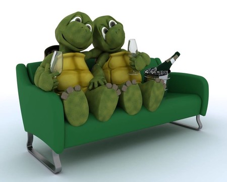 在沙发上喝香槟的乌龟