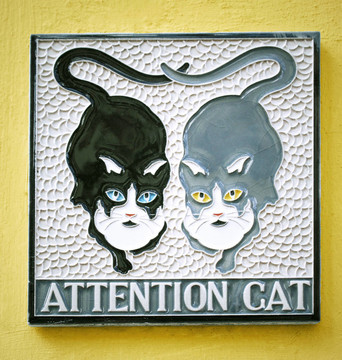 注意猫