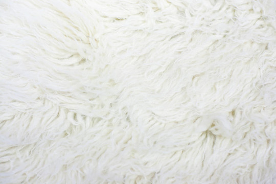 白色长毛绒或羊毛纹理