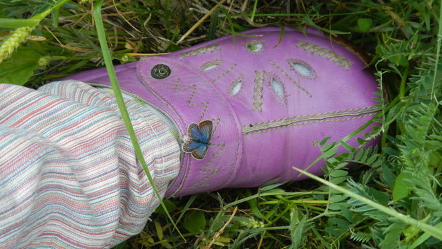 鞋上的蝴蝶