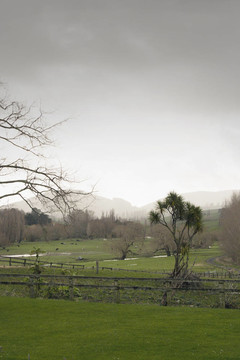在农村新西兰的雨天