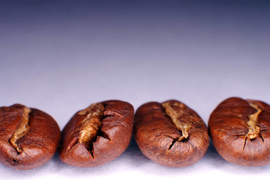宏中咖啡豆