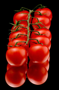 红番茄的宏