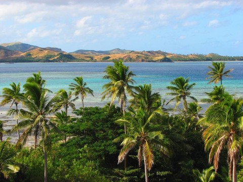 在Nacula岛的热带棕榈树；亚萨瓦群岛；斐济