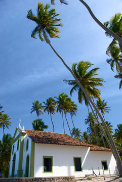 在巴西的一个热带海滩上的教堂
