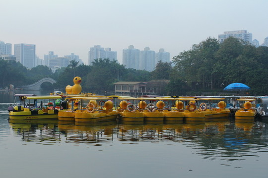 黄鸭子船