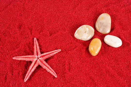红沙上的海星和石头