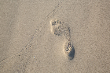 沙滩上的脚印 沙滩 足迹 脚印
