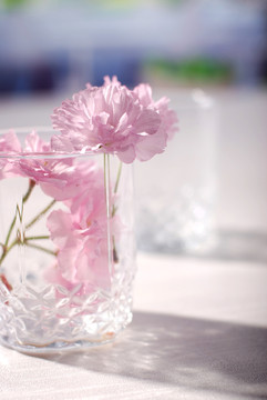 玻璃杯与花