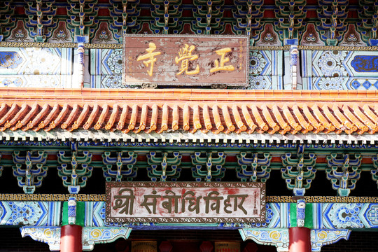 正觉寺 佛教 建筑 敦化 公园