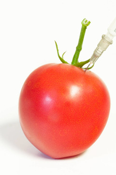 Gen西红柿