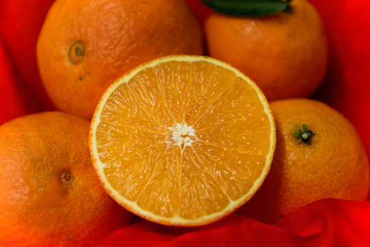 柑橘 橙子 耙耙柑