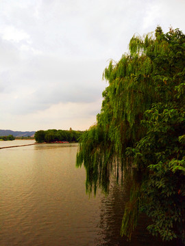 江南湖泊水景