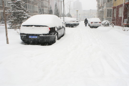 被大雪覆盖的汽车