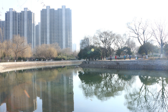 公园