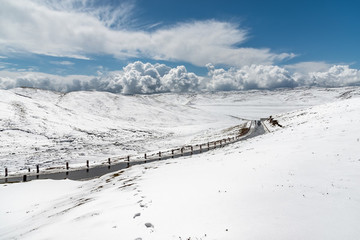 青海雪山
