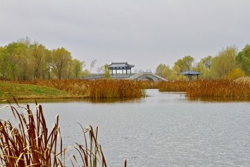 北湖公园