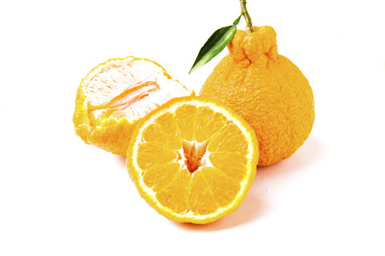不知火柑橘