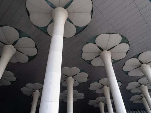 上海国家会展中心装饰柱