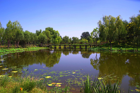 北京东郊湿地公园