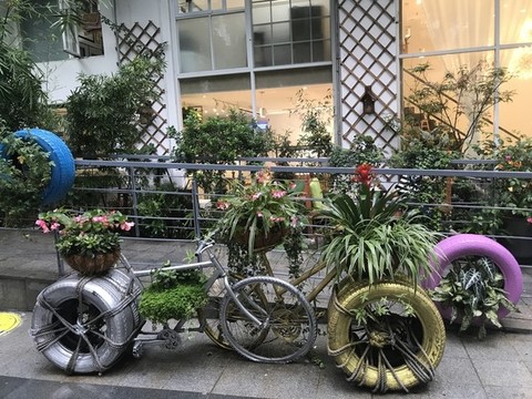 自行车花卉