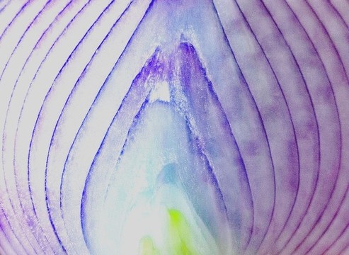 蔬菜洋葱
