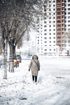 冬季室外路人行走图片