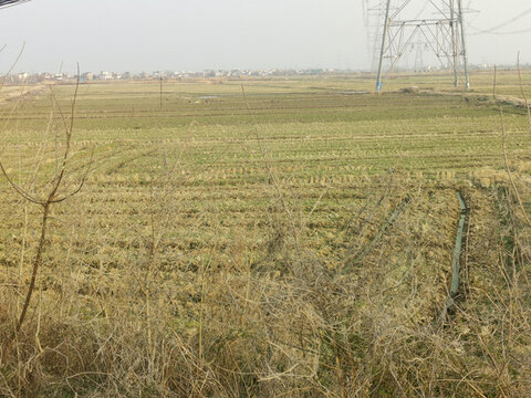 乡野风光田园