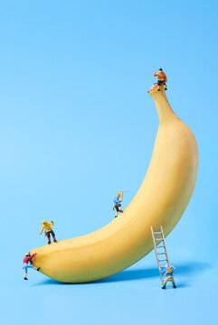 香蕉创意拍摄